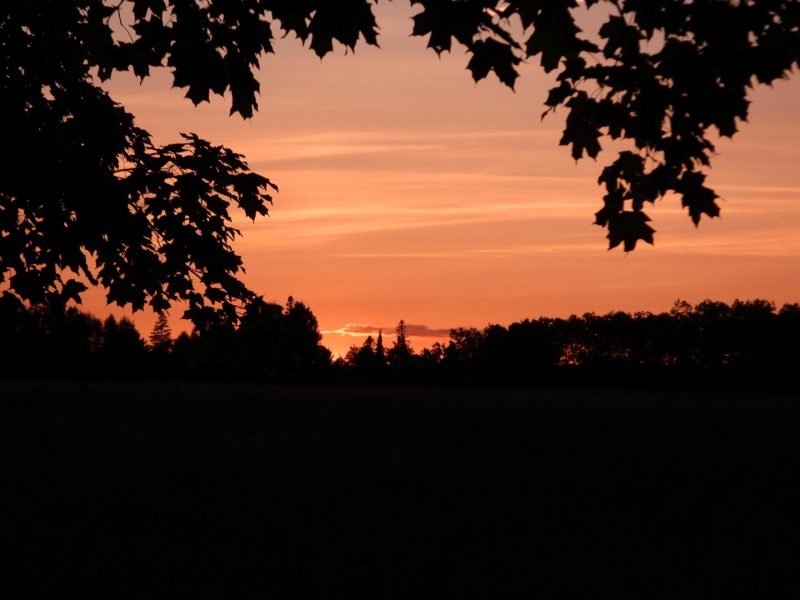 Sun set