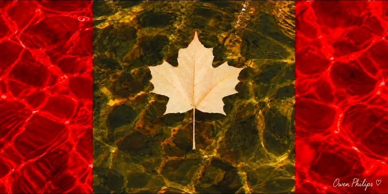 A pale maple leaf floating on clear water over stones, between two panels of red rippled water, in the shape of the Canadian flag