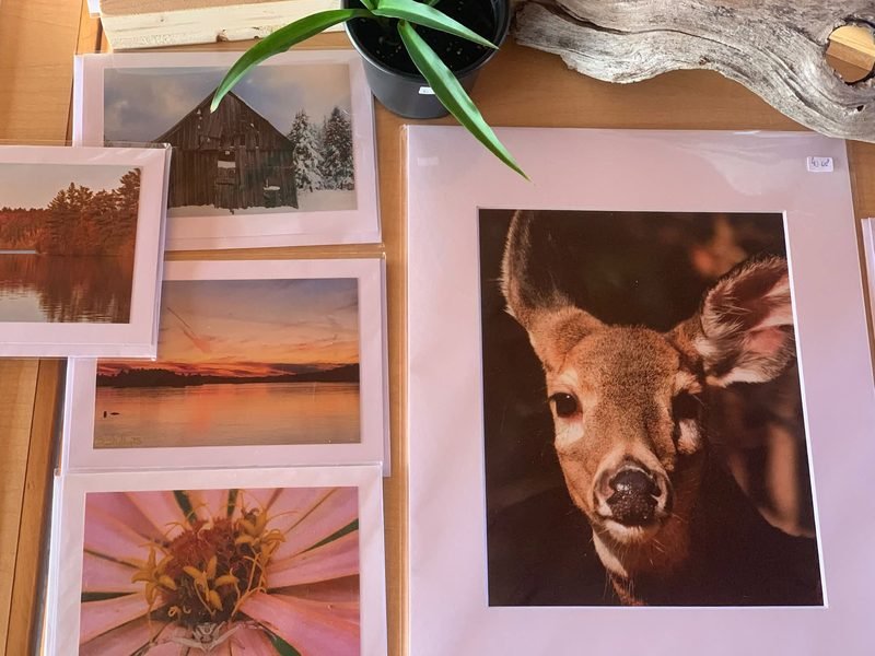 A matted print of a deer beside smaller prints of a snowy barn, a lake sunset and a pink flower