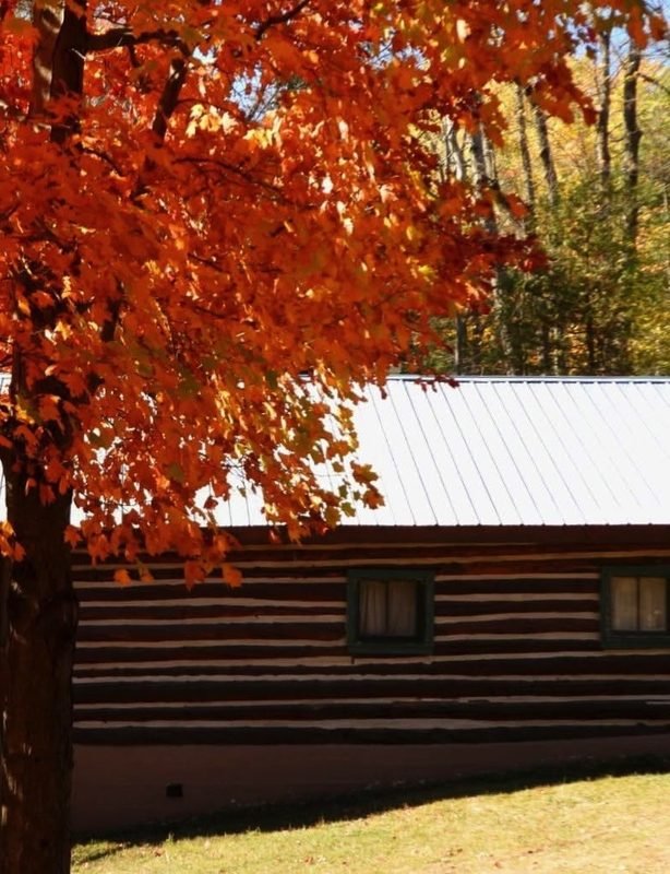 Orange maple leaves over a log building with a steel roof